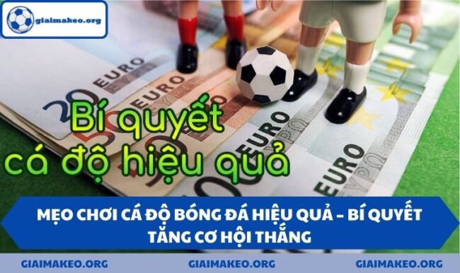 mẹo chơi cá độ bóng đá