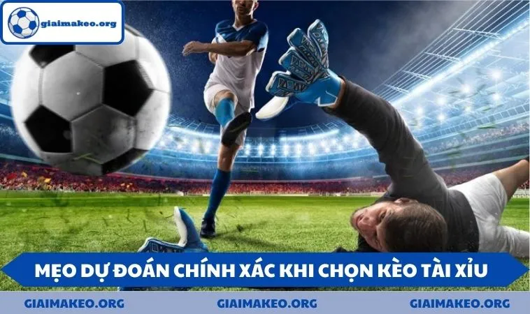 Mẹo dự đoán chính xác khi chọn kèo tài xỉu