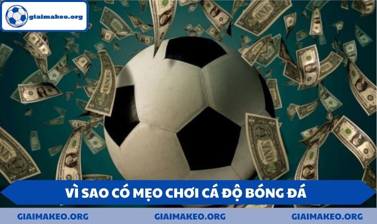 Vì sao có mẹo chơi cá độ bóng đá